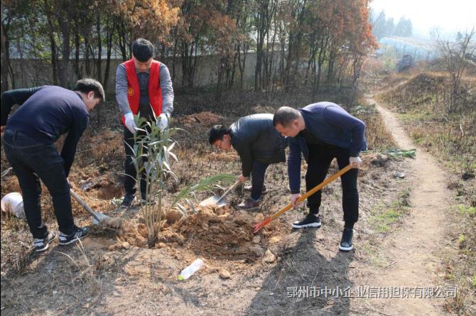 用雙手營造綠色環(huán)境 用汗水創(chuàng)建文明家園